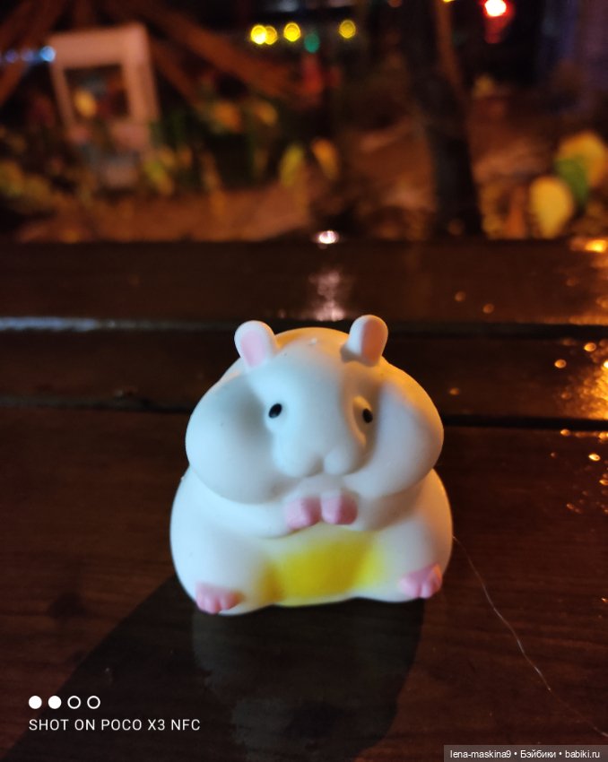 Прогулка в парке хомяка Васи