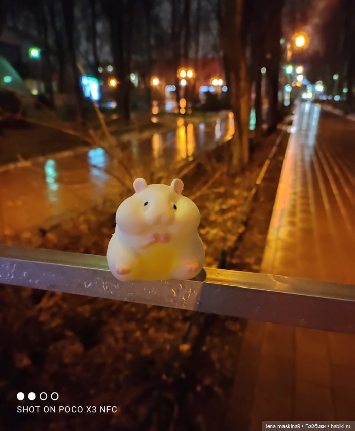 Прогулка в парке хомяка Васи