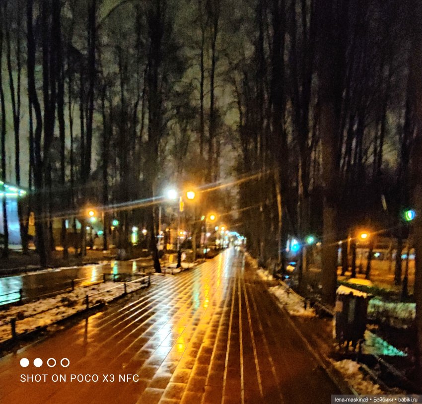 Прогулка в парке хомяка Васи