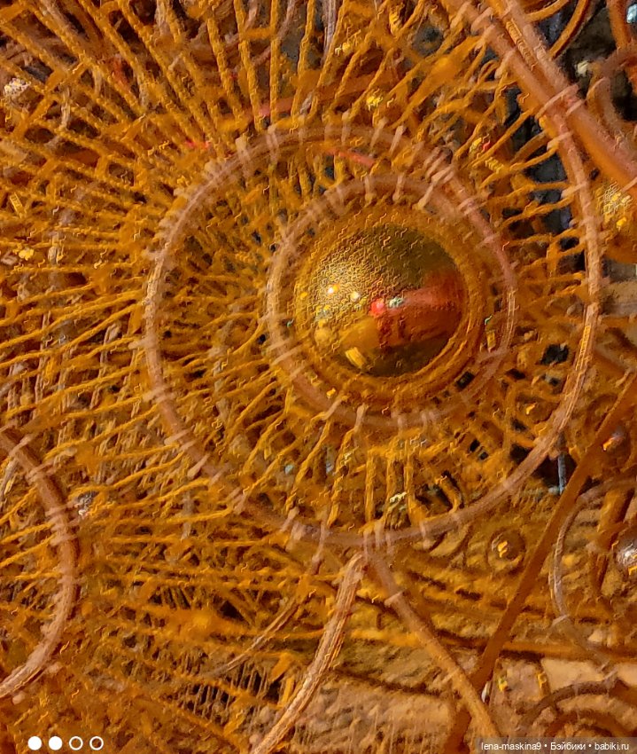 Прогулка в парке хомяка Васи (фото 7)