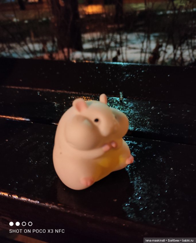 Прогулка в парке хомяка Васи