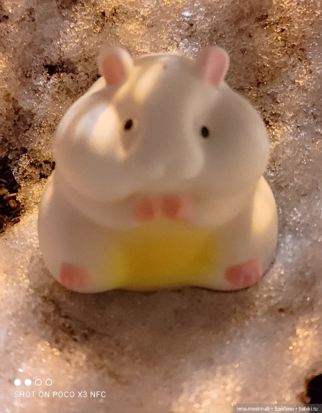 Прогулка в парке хомяка Васи (фото 6)