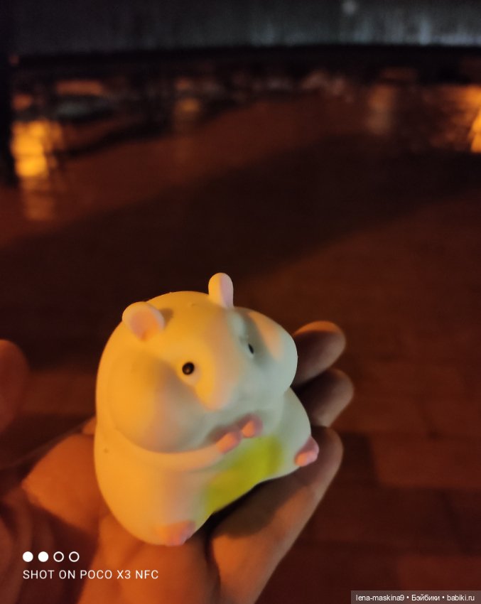 Прогулка в парке хомяка Васи