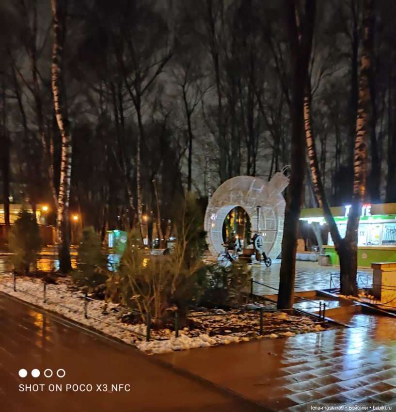 Прогулка в парке хомяка Васи