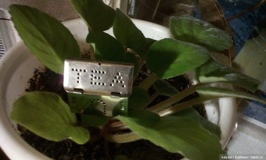 Кукольный домик — Болталка и разговоры обо всем: жизнь