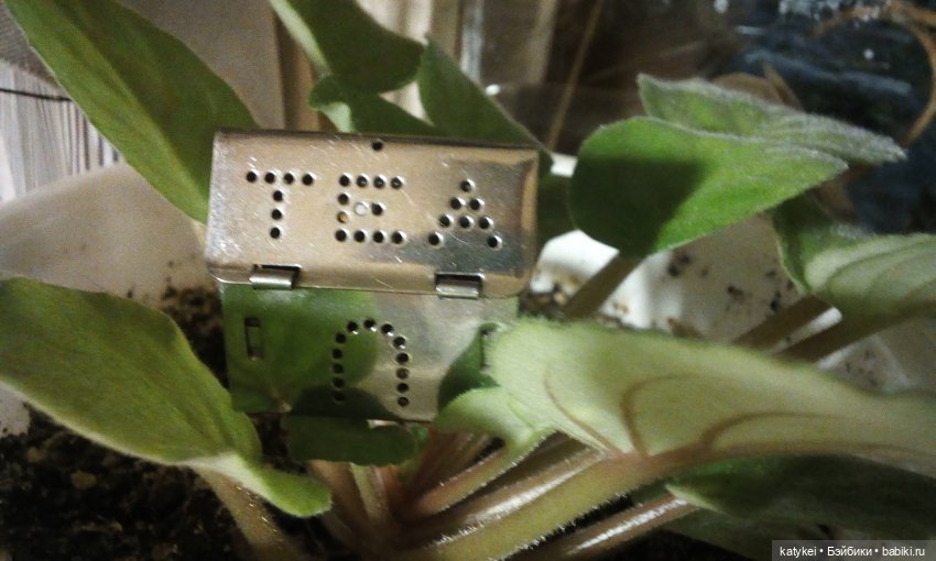 Кукольный домик — Болталка и разговоры обо всем: жизнь