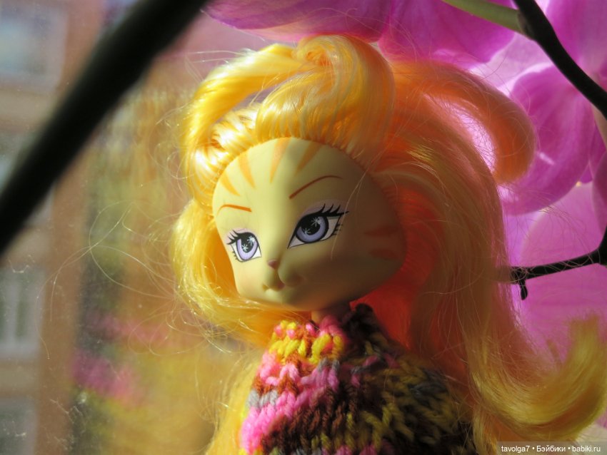 Золотые Кошечки в Золотой Осени