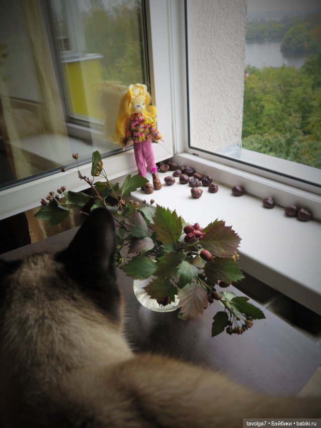 Золотые Кошечки в Золотой Осени (фото 9)