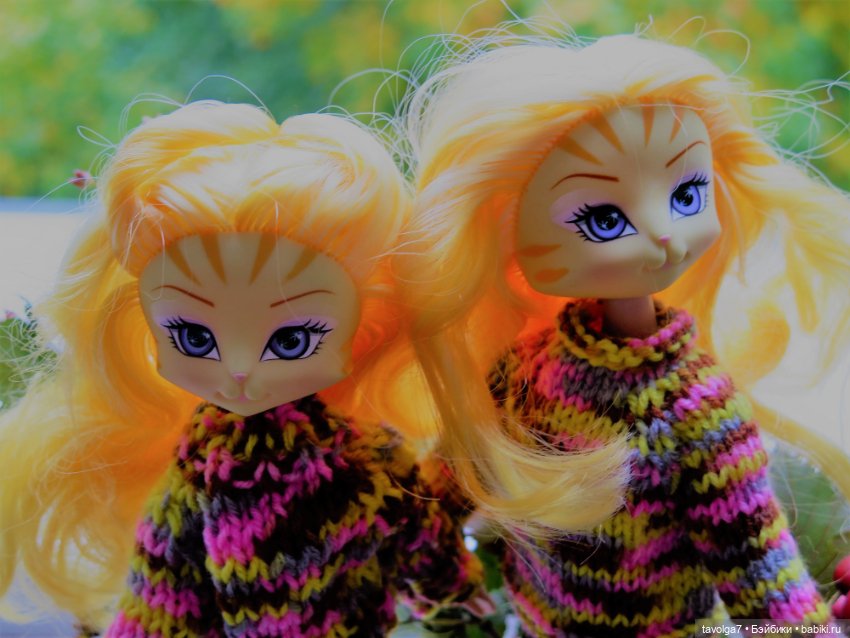 Золотые Кошечки в Золотой Осени (фото 7)