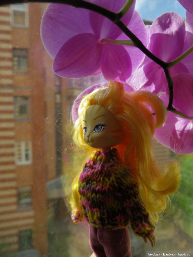 Золотые Кошечки в Золотой Осени (фото 10)