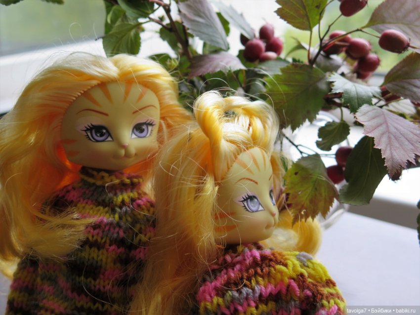 Золотые Кошечки в Золотой Осени