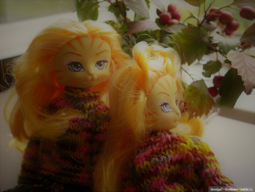 Золотые Кошечки в Золотой Осени (фото 2)