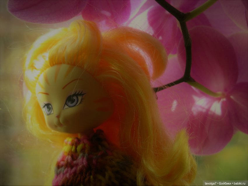 Золотые Кошечки в Золотой Осени