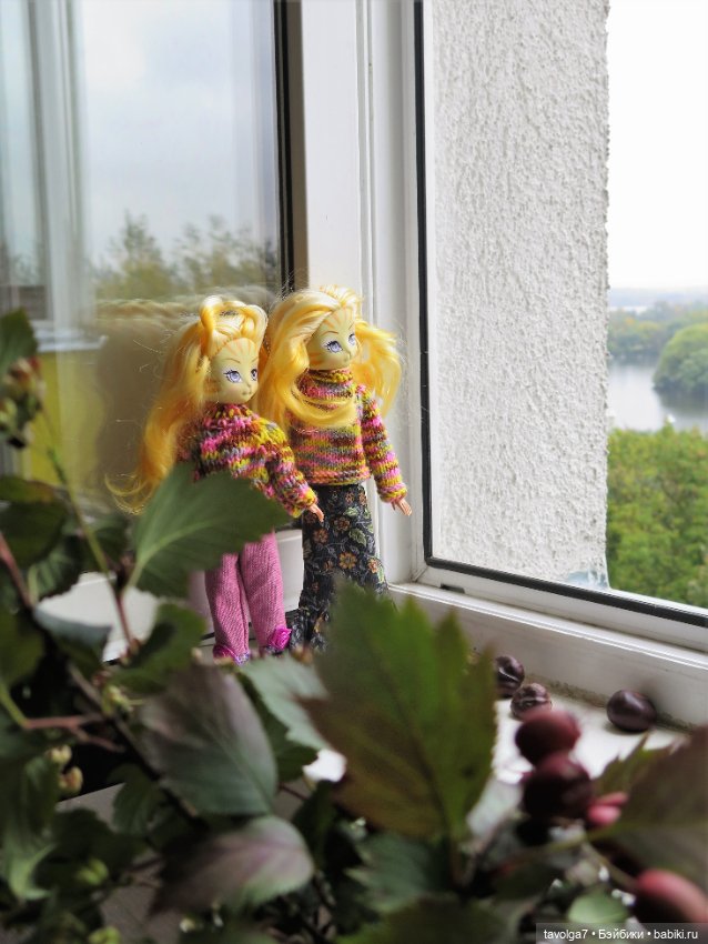 Золотые Кошечки в Золотой Осени (фото 3)