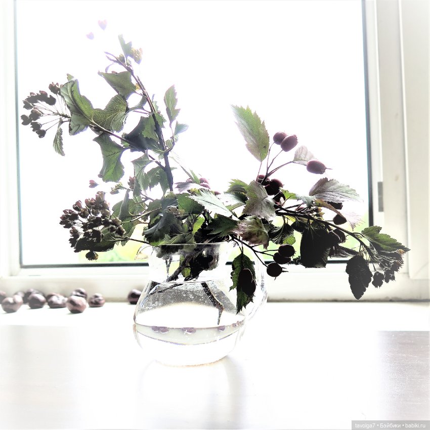 Золотые Кошечки в Золотой Осени (фото 8)