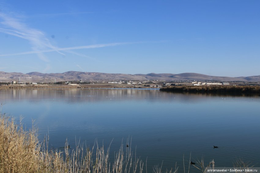 Анна на озере — Куклы Barbie (Барби): Looks (фото 3)