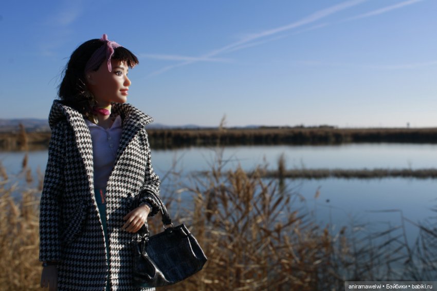 Анна на озере — Куклы Barbie (Барби): Looks (фото 2)