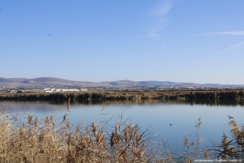 Анна на озере — Куклы Barbie (Барби): Looks