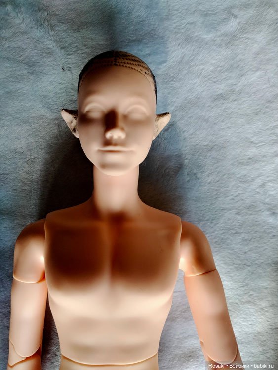 Гибридизация голов БТС с разными телами (фото 3)