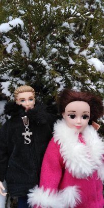 Первый снег. Прошлогодний