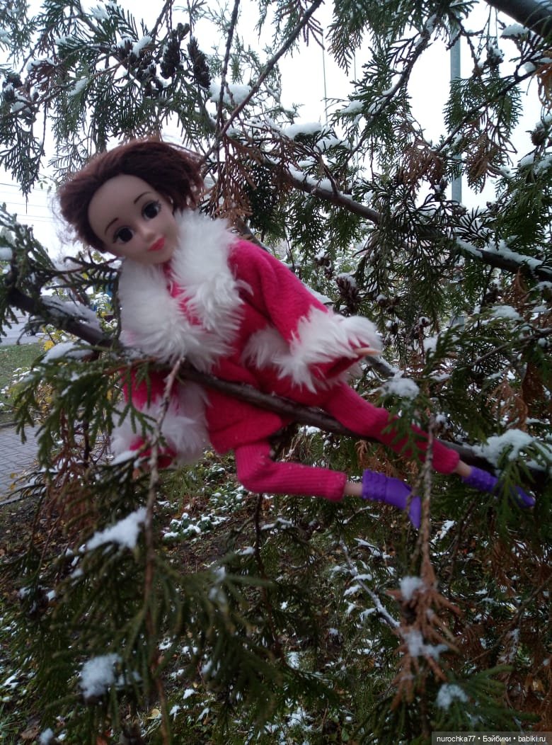 Первый снег. Прошлогодний (фото 7)