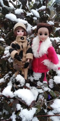 Первый снег. Прошлогодний