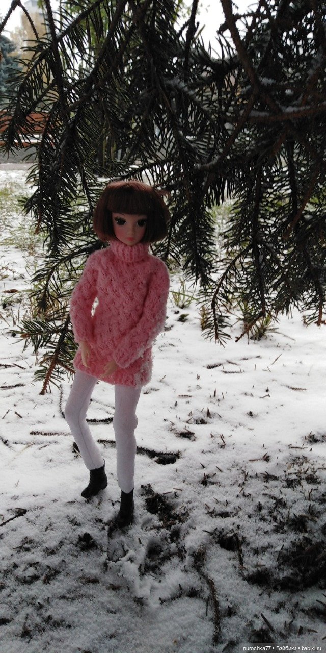 Первый снег. Прошлогодний (фото 10)