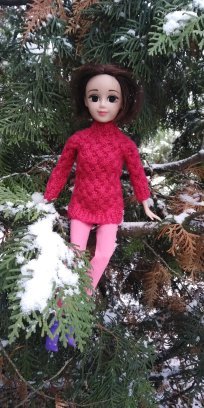 Первый снег. Прошлогодний