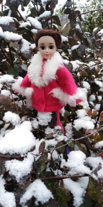 Первый снег. Прошлогодний