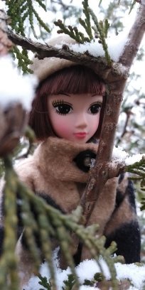 Первый снег. Прошлогодний