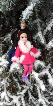 Первый снег. Прошлогодний