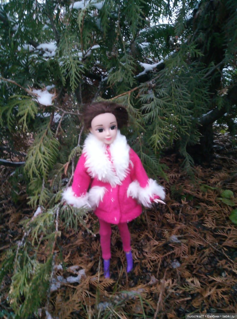 Первый снег. Прошлогодний