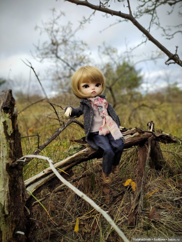 Папина доця — Куклы DIM (Doll in Mind): корейские BJD (БЖД) (фото 4)