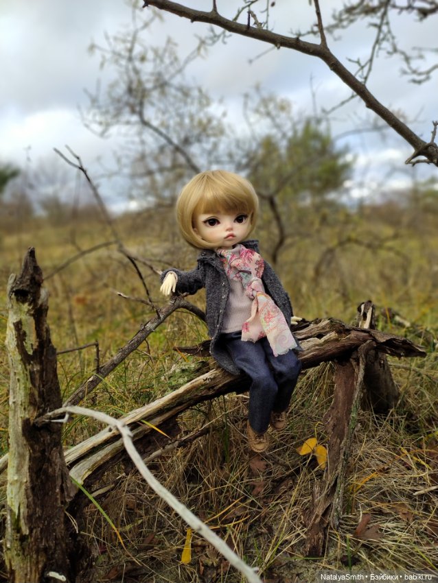 Папина доця — Куклы DIM (Doll in Mind): корейские BJD (БЖД)