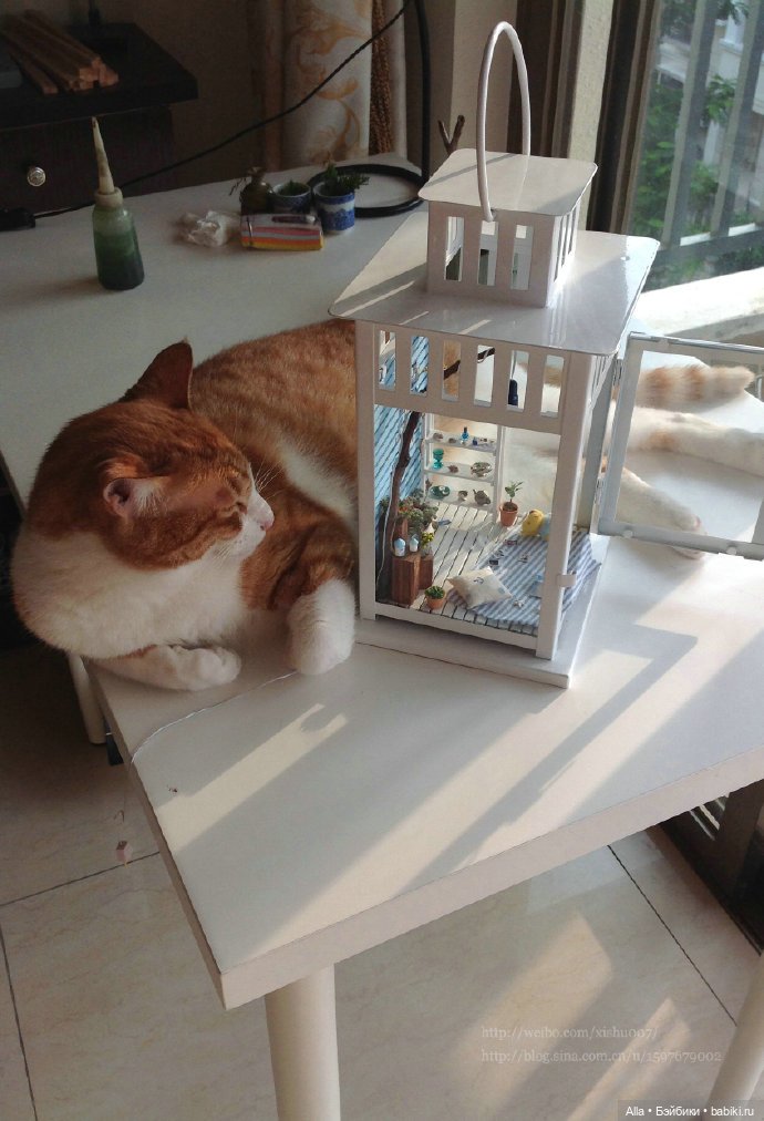 Интересный румбокс мастера из Китая