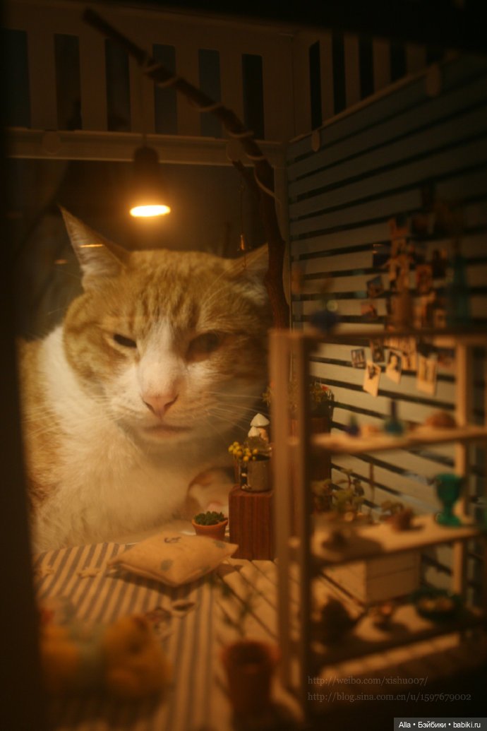 Интересный румбокс мастера из Китая