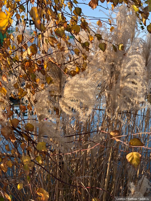 Трио рыжих — Игровые куклы разных производителей (Разное): редкие бренды