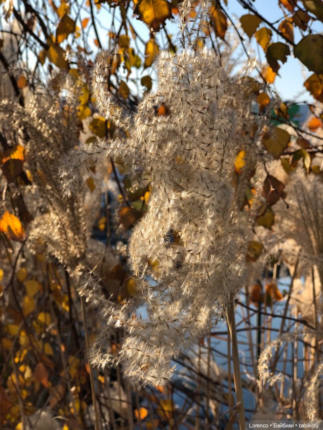 Трио рыжих — Игровые куклы разных производителей (Разное): редкие бренды