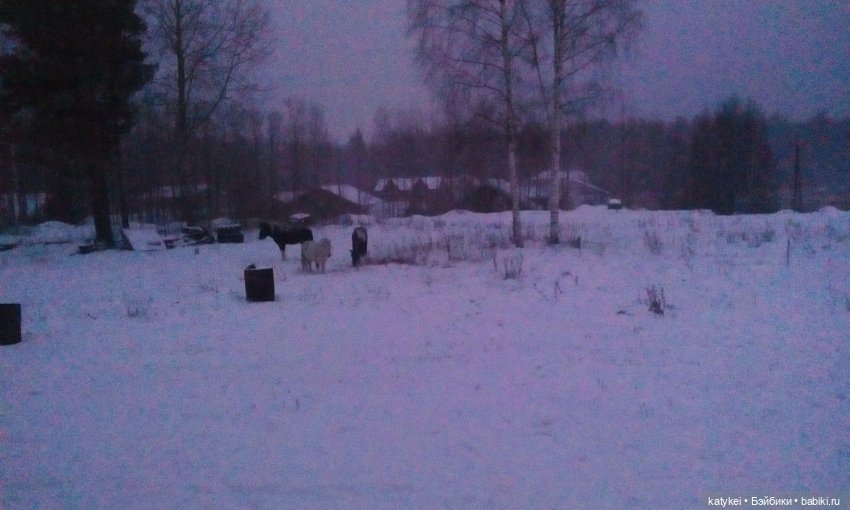 Греют ли тёплые цвета — Интересные игрушки и фигурки (разное): редкие (фото 2)