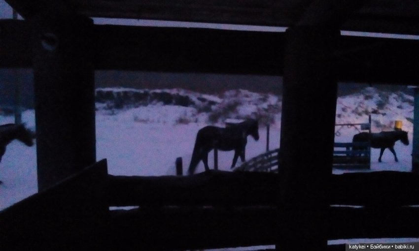 Греют ли тёплые цвета — Интересные игрушки и фигурки (разное): редкие (фото 3)