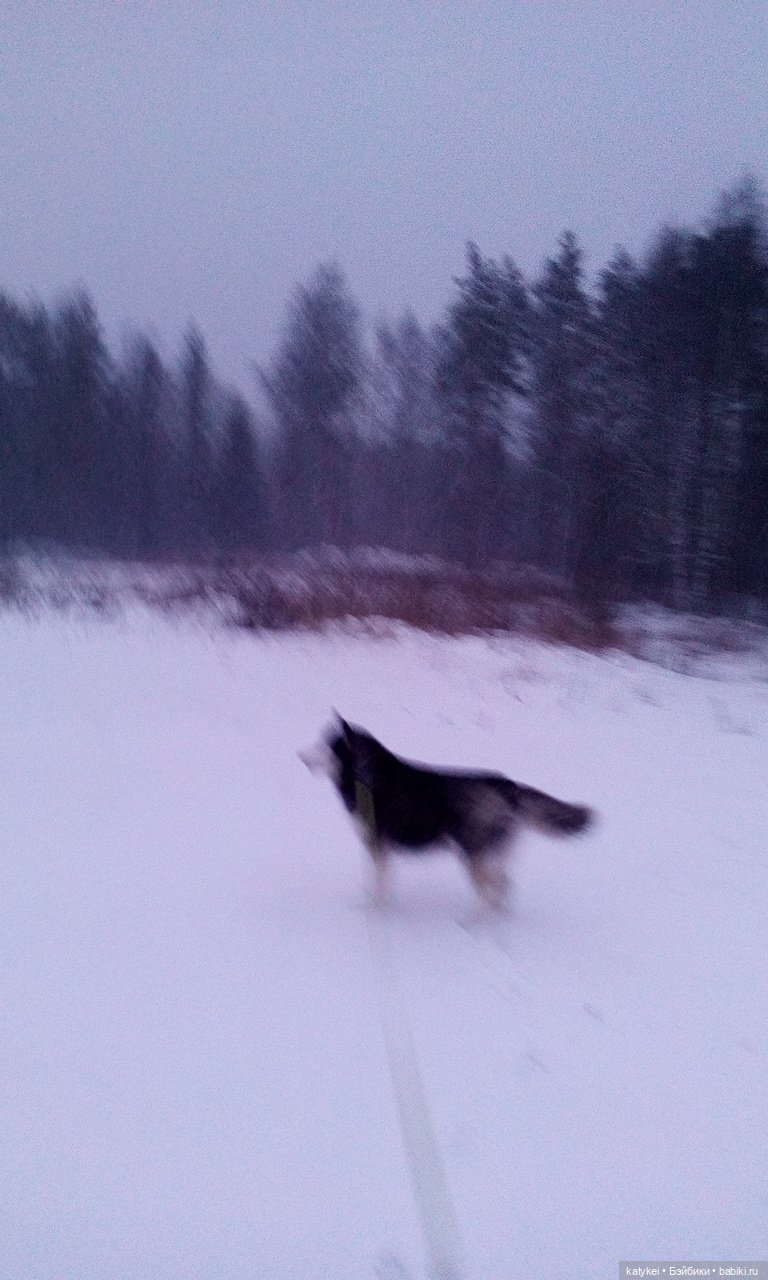 Греют ли тёплые цвета — Интересные игрушки и фигурки (разное): редкие