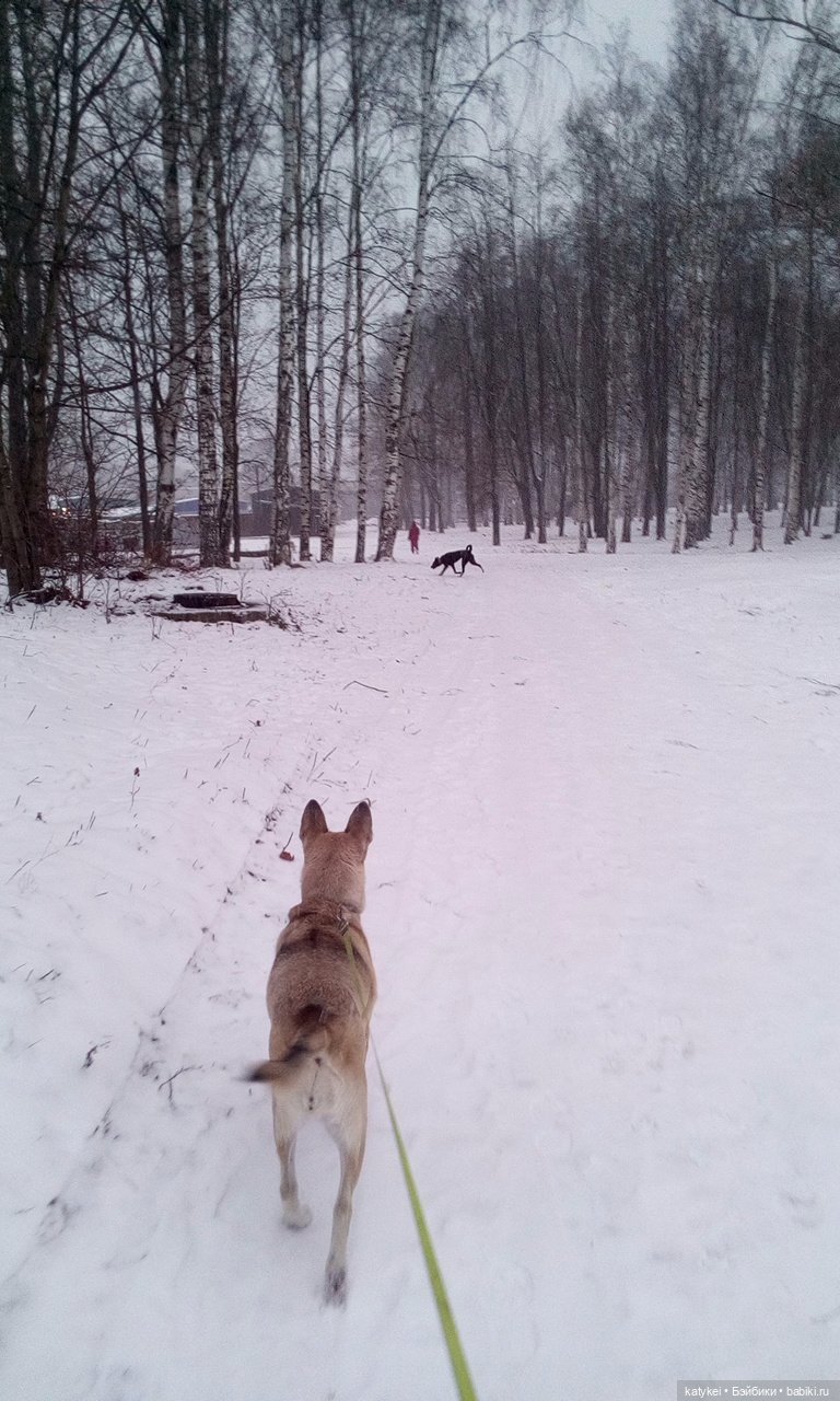 Греют ли тёплые цвета — Интересные игрушки и фигурки (разное): редкие