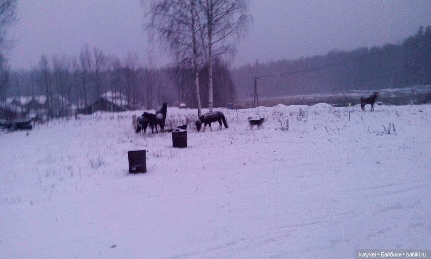 Греют ли тёплые цвета — Интересные игрушки и фигурки (разное): редкие