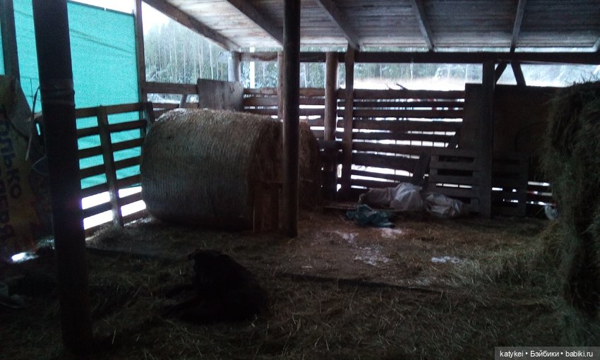 Греют ли тёплые цвета — Интересные игрушки и фигурки (разное): редкие (фото 4)