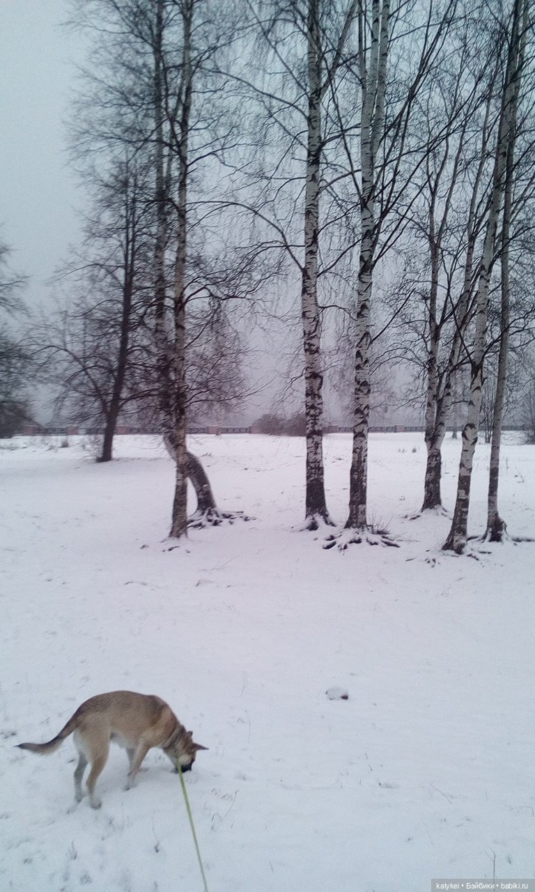 Греют ли тёплые цвета — Интересные игрушки и фигурки (разное): редкие