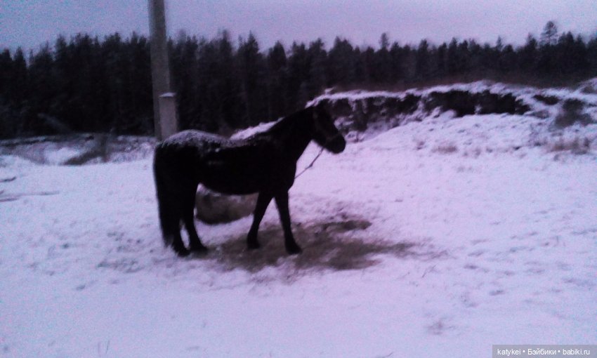 Греют ли тёплые цвета — Интересные игрушки и фигурки (разное): редкие