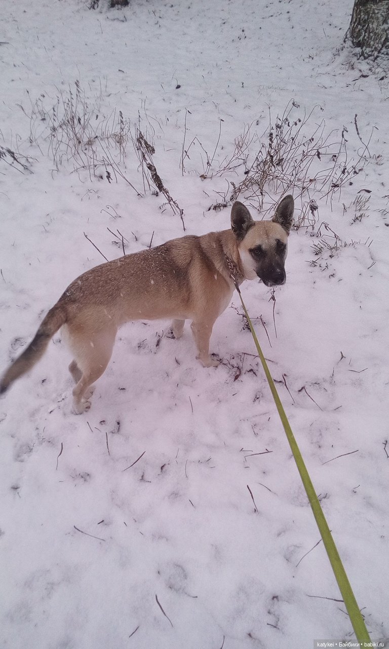 Греют ли тёплые цвета — Интересные игрушки и фигурки (разное): редкие