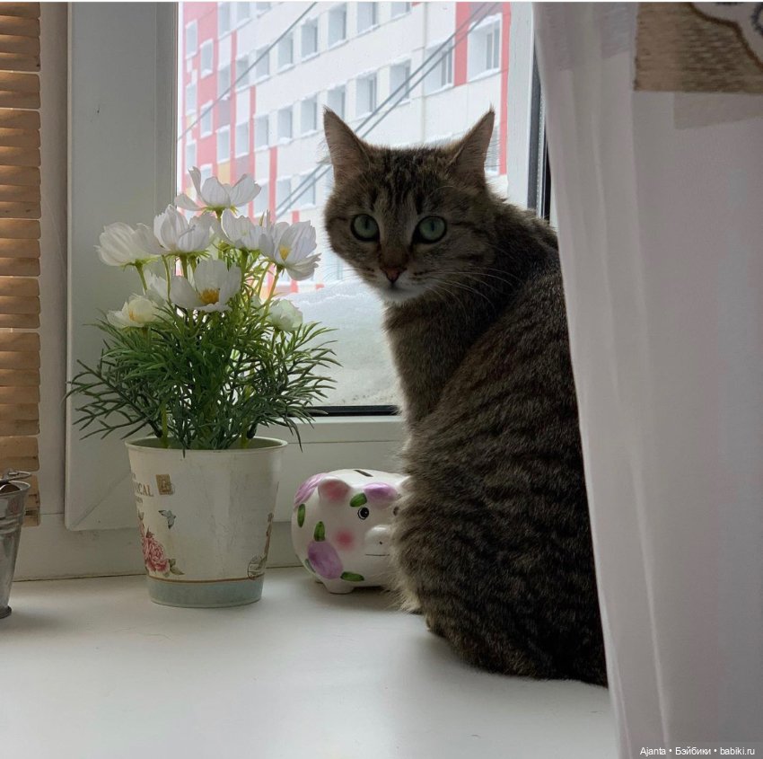 Уренгойские окна — Домашние фото авторских кукол: личные коллекции