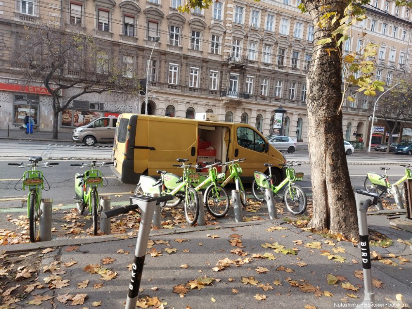 Fashion Dolls 290 — Куклы Звезды подиума (Angel Collection): шарнирные