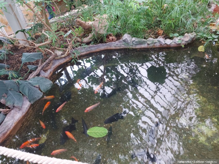 Fashion Dolls 290 — Куклы Звезды подиума (Angel Collection): шарнирные